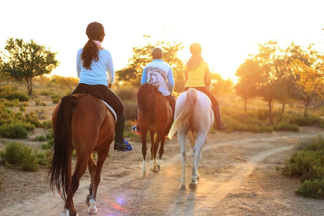 country exploring